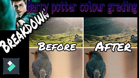 grading system harry potter|harry potter newt exam.